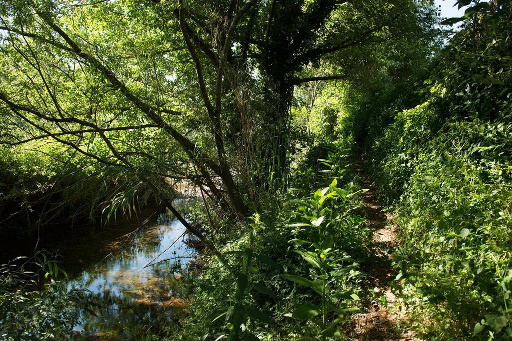 Recanto Da Ribeira Casas De Campo Monchique Exteriör bild
